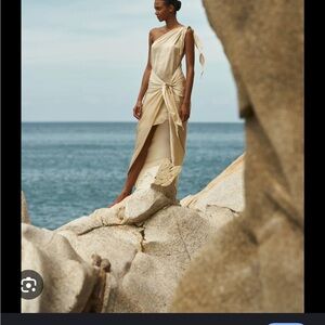 NWT Baobab marea dress